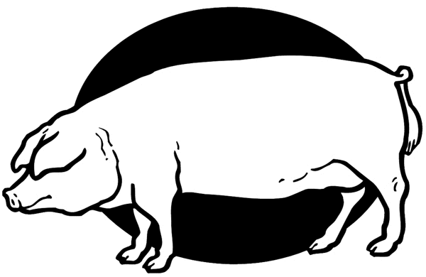 Pig in front of circle vinyl sticker. Customize on line.       Animals Insects Fish 004-0961  